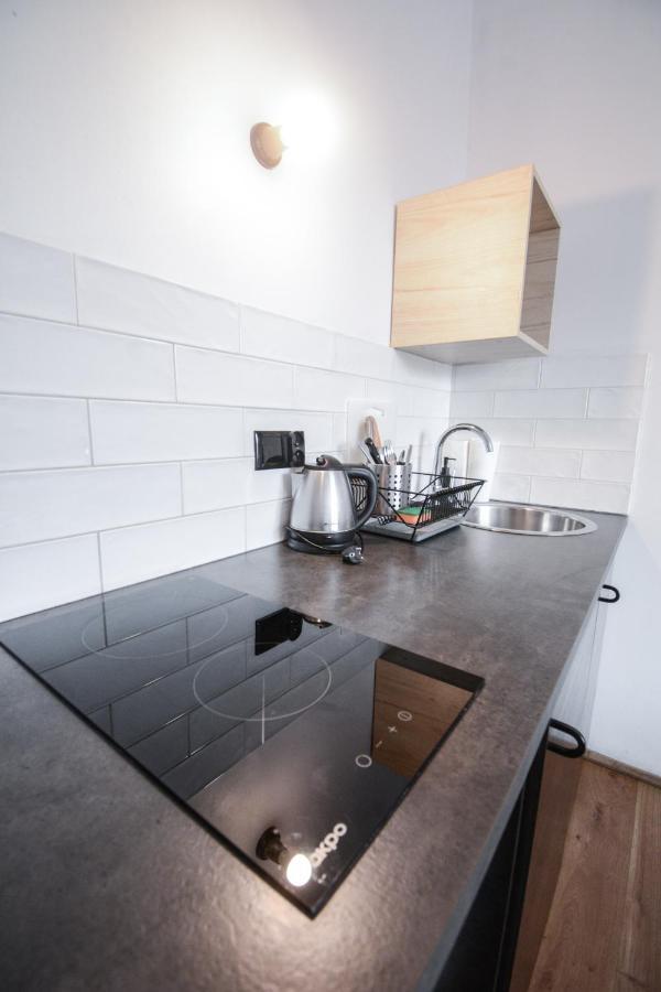 Lion Apartments - Silver Krakov Exteriér fotografie